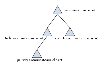 Notion d'arbre