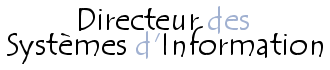 Directeur des Systèmes d'Information (DSI)