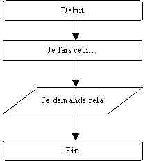 Organigramme