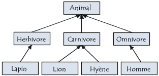 Hiérarchie des classes