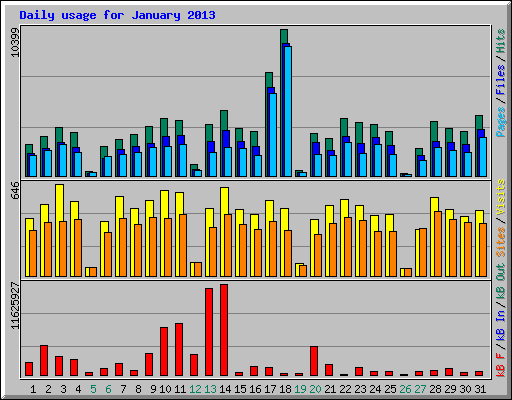 Daily usage for January 2013