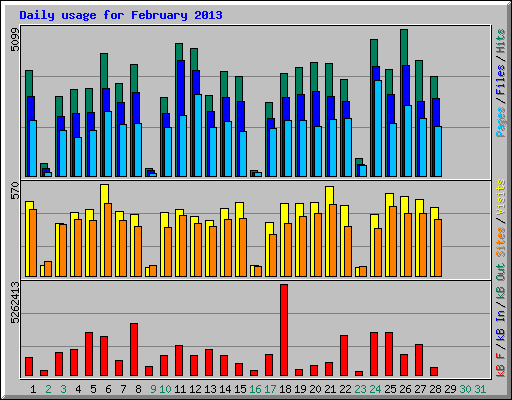 Daily usage for February 2013