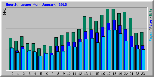 Hourly usage for January 2013
