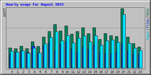 Hourly usage for August 2015