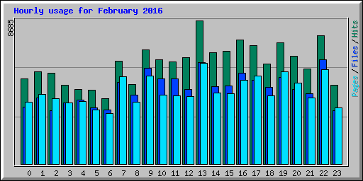 Hourly usage for February 2016