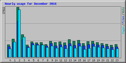 Hourly usage for December 2016