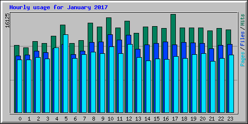 Hourly usage for January 2017
