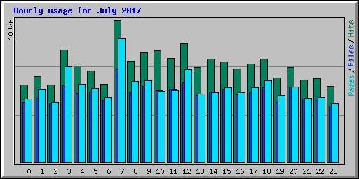 Hourly usage for July 2017