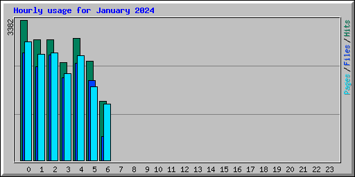 Hourly usage for January 2024